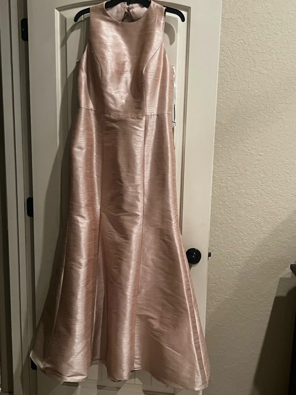 ALFRED SUNG SZ 12 Pearl Pink Gown - Picture 4 of 6